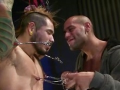 This stud likes pain